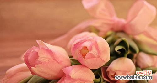 用花语诠释爱情的永恒 爱情之花