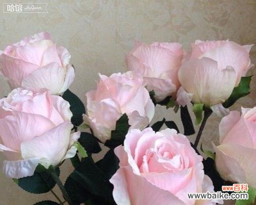 友谊之花绽放爱与陪伴 以鲜花代表友谊的美丽之情