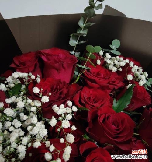 探究红玫瑰的深层寓意 红玫瑰花的含义与象征