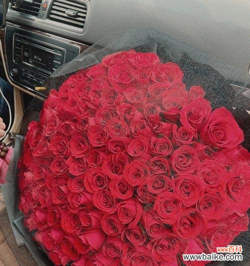 探究红玫瑰的深层寓意 红玫瑰花的含义与象征