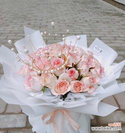 揭示爱莎玫瑰花语的含义 爱莎玫瑰花语与寓意