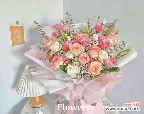 揭示爱莎玫瑰花语的含义 爱莎玫瑰花语与寓意