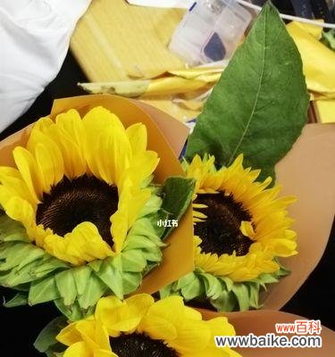 花语之美 以向日葵花语，适合送给什么人