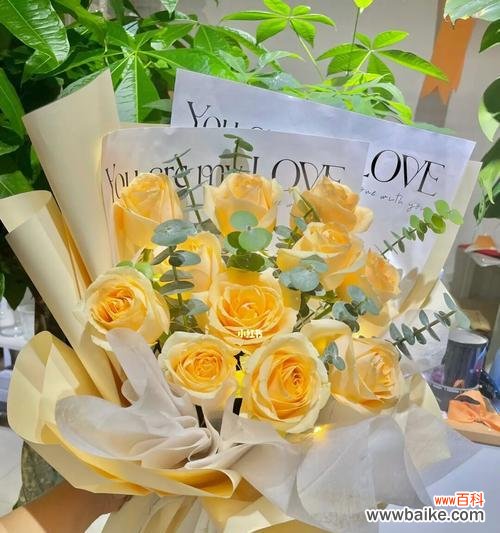 浪漫的花语让情感更加升华 19朵香槟玫瑰花语