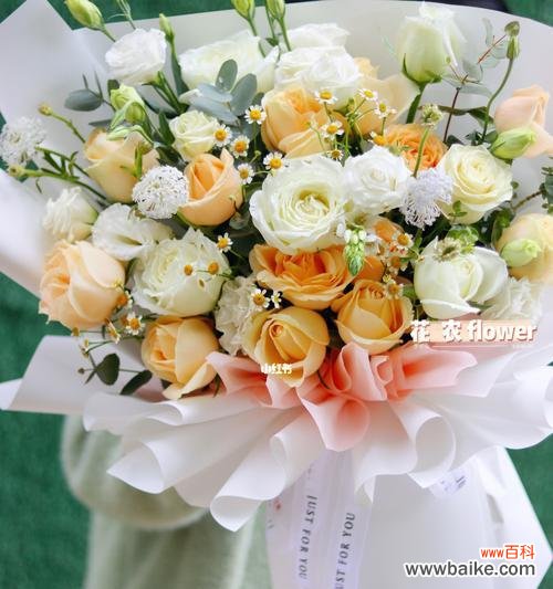 浪漫的花语让情感更加升华 19朵香槟玫瑰花语