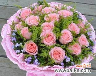 探究九朵粉玫瑰背后的含义与象征 九朵粉玫瑰代表的意义