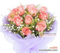 探究九朵粉玫瑰背后的含义与象征 九朵粉玫瑰代表的意义