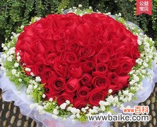 玫瑰花的神秘语言和深刻寓意 九朵玫瑰的寓意与象征