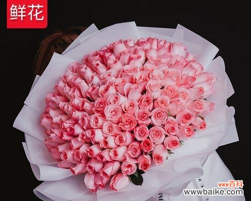 玫瑰花的神秘语言和深刻寓意 九朵玫瑰的寓意与象征