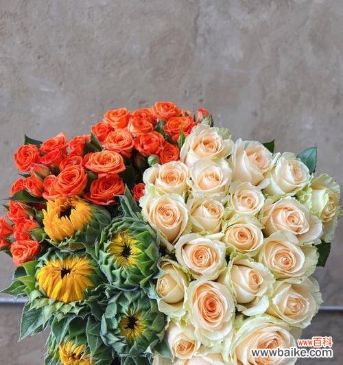 探寻玫瑰花的五重象征意义 玫瑰花的寓意与象征