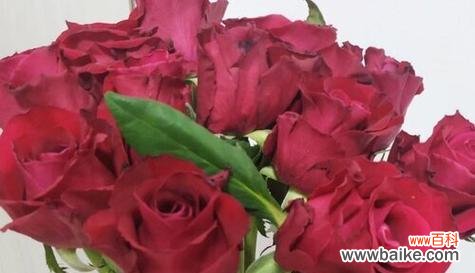 探寻玫瑰花的五重象征意义 玫瑰花的寓意与象征