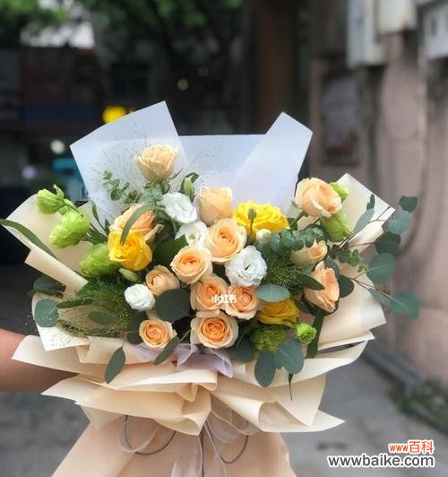 品味高贵 香槟色玫瑰