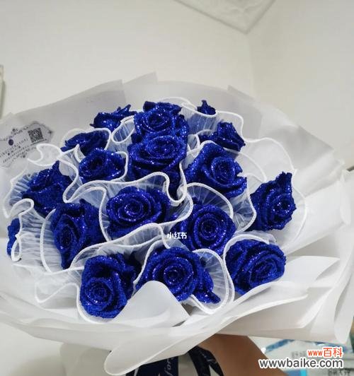 解读蓝色玫瑰的神秘魅力 蓝色玫瑰的花语与象征意义