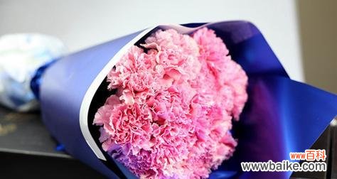 每朵康乃馨蕴含的深意与象征 康乃馨花语之解读