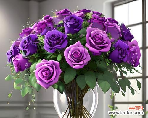 揭开紫色玫瑰花背后的秘密 紫色玫瑰花的意义与象征