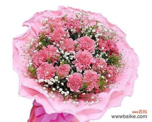 探寻花朵的深意 花开繁盛，寄语万千——19朵花的花语解读