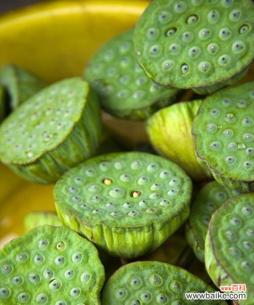 一朵娇艳的莲蓬 莲蓬的象征意义及文化价值