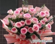 选择适合友谊长久的花朵 友谊长久之花——送什么花象征永恒的友谊