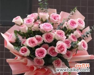 选择适合友谊长久的花朵 友谊长久之花——送什么花象征永恒的友谊