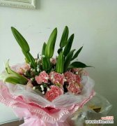 一束花 花语祝福