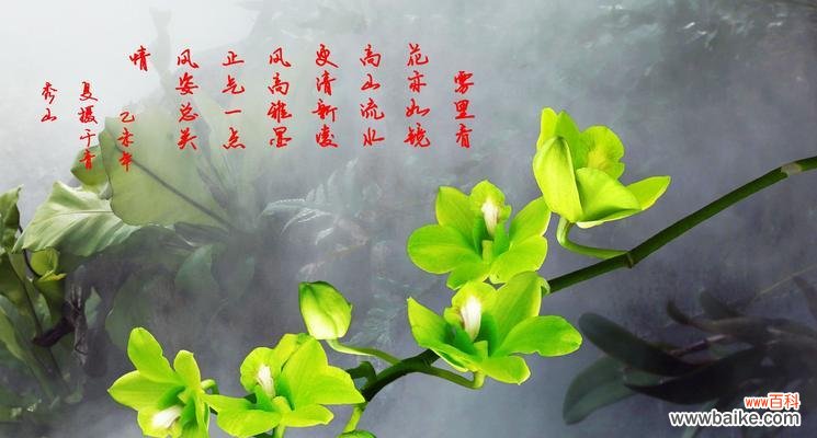 四君子之美与人生哲理 以梅兰竹菊的象征意义