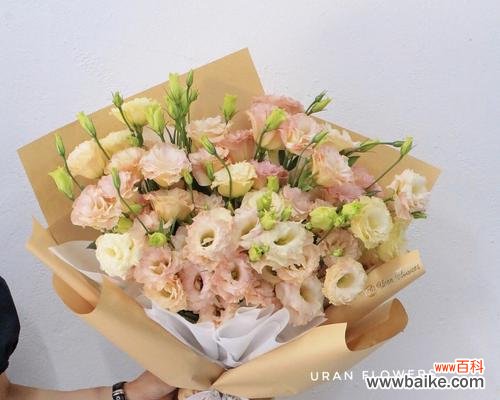 探寻香槟洋桔梗的隐含意义 香槟洋桔梗花语解析