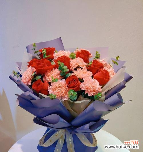 康乃馨花的情感 康乃馨花的象征意义