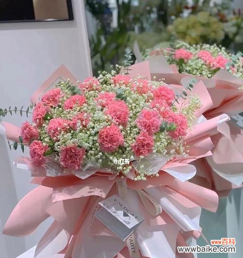 康乃馨花的情感 康乃馨花的象征意义