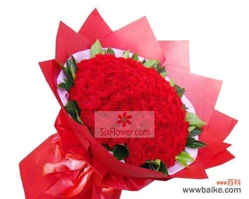 红色康乃馨的情感表达和传递 红色康乃馨花语的含义与象征