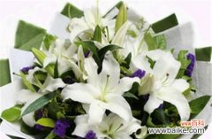 百合花的寓意和赠送方式 百合花与爱情的象征