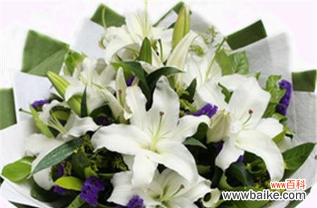 百合花的寓意和赠送方式 百合花与爱情的象征