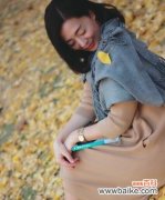 神秘的叶子散发着深意 银杏叶子的花语之美