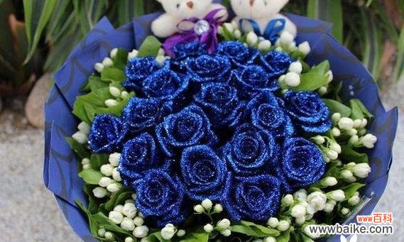 从色彩到灵感 探秘蓝色妖姬的意义与象征