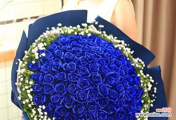 解读52朵蓝色妖姬花所代表的心情与寓意 蓝色妖姬花语