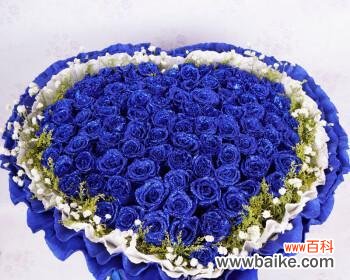 解读52朵蓝色妖姬花所代表的心情与寓意 蓝色妖姬花语