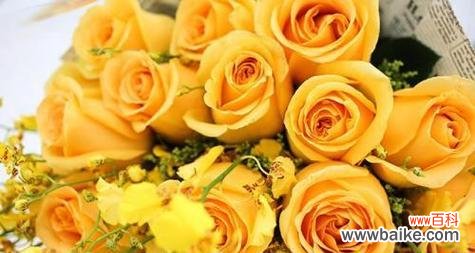 深情表白 21朵玫瑰花语及寓意