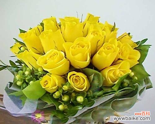 传递温暖与祝福的黄色花朵 黄玫瑰花的花语——友谊与感激