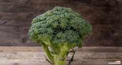 以西兰花的花语意义及传统文化内涵解析 以西兰花花语探秘