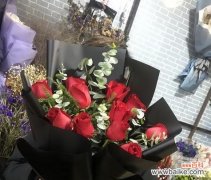 揭示玫瑰花色彩的暗示和象征意义 探索玫瑰花不同颜色的含义