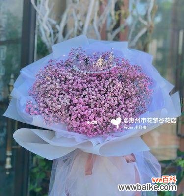 探索蓝色满天星的神秘之美与启示 蓝色满天星的象征意义及影响力