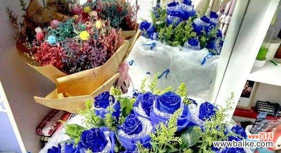 探索蓝色满天星的神秘之美与启示 蓝色满天星的象征意义及影响力