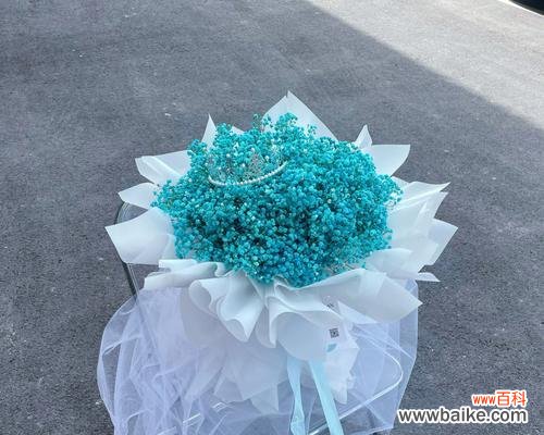 探索蓝色满天星的神秘之美与启示 蓝色满天星的象征意义及影响力