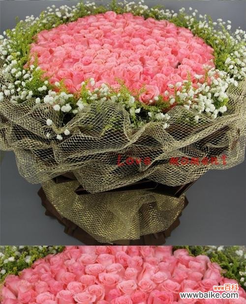 表达浪漫与喜悦的象征 粉色玫瑰的含义与传情