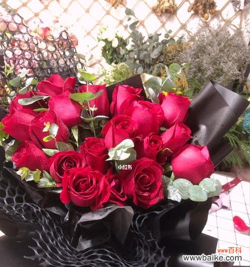 红玫瑰的神秘之美与心灵的诗意 19朵红玫瑰的含义及象征