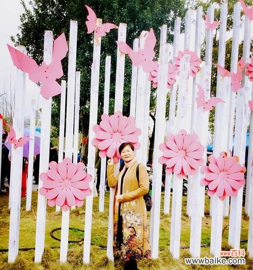 探寻中国文化中母子关系的独特魅力 中国母子情深