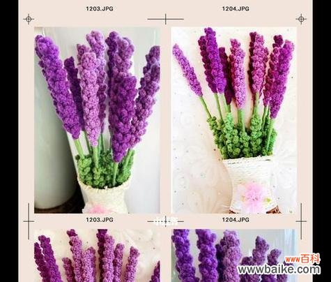 熏衣草的花语和象征意义 熏衣草花语与寓意-健康、宁静与爱的象征