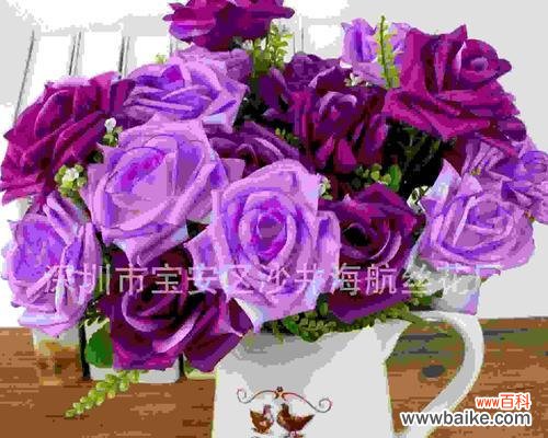 从花语到文化的传承 七朵玫瑰的意义