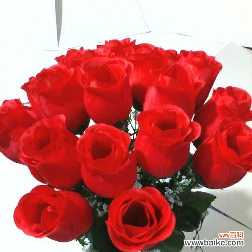 从花语到文化的传承 七朵玫瑰的意义