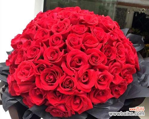 深情厚意的告白之花——九十九朵玫瑰 九十九朵玫瑰的象征意义