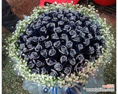 深情厚意的告白之花——九十九朵玫瑰 九十九朵玫瑰的象征意义